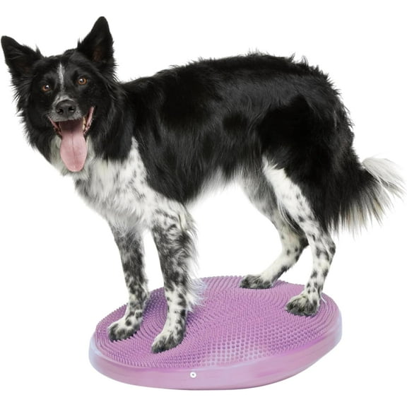 FitPaws® Dog Balance Disc – 22”, Razzleberry | Dog Exercise Equipment | Workout Tool for Strength, Core, Stability & Rehabilitation