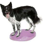 FitPaws  Dog Balance Disc   22 , Razzleberry | Dog Exercise Equipment | Workout Tool for Strength, Core, Stability & Rehabilitation