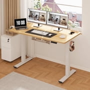 FitStand Electric Standing Desk with Clamp Power Strip, 48" x 24" Height Adjustable Sit Stand up Desk with Cable Management and Side Hooks for Home Office, Maple