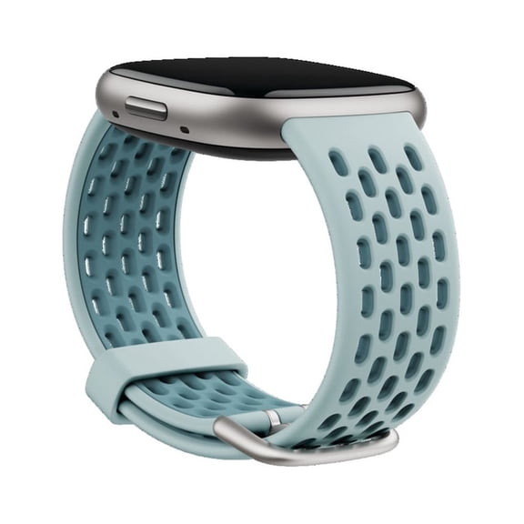 Fitbit Smartwatch Band