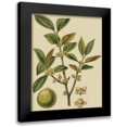 thumbnail image 1 of Fitch, J.N. 19x24 Black Modern Framed Museum Art Print Titled - Fitch Leaves on Khaki I (PS), 1 of 5