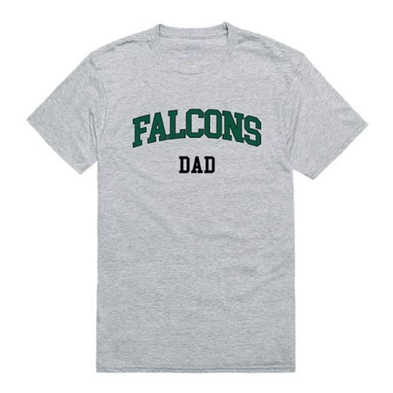 Fitchburg State University Falcons Short Sleeve College Dad T-Shirt, Heather Grey - Large