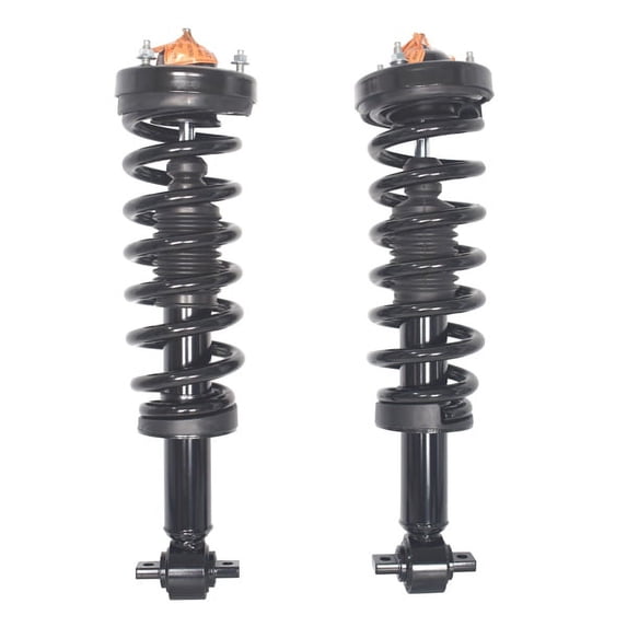 Fithood 2 PCS COMPLETE STRUT 2015 - 2017 FORD-F-150