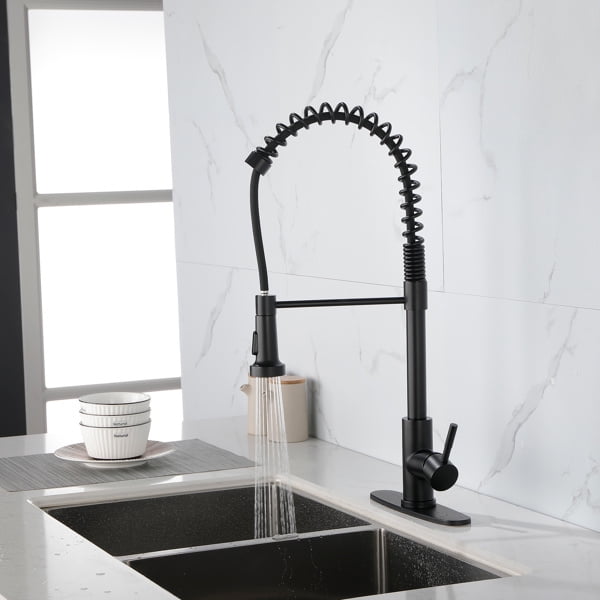 Matte Black Brass Pull-Down Kitchen Faucet with Spray