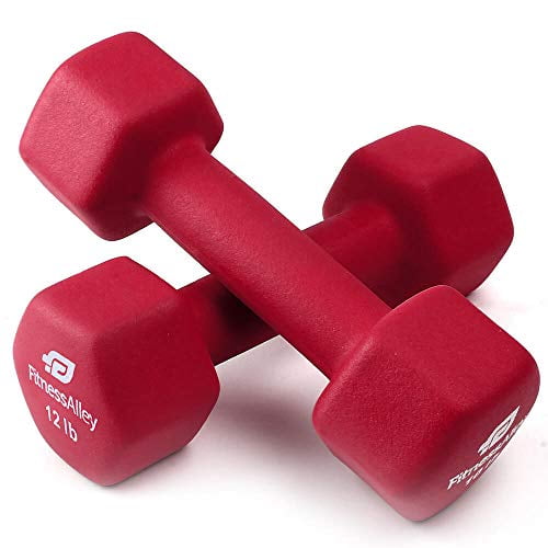 Fitness Alley Neoprene Coated Workout Dumbbells set of 2 Anti Roll Non Slip with Smooth Grip Fitness Exercise Dumbbells Hexagon Shaped Hand Weights for Women Men 12 Pounds Walmart
