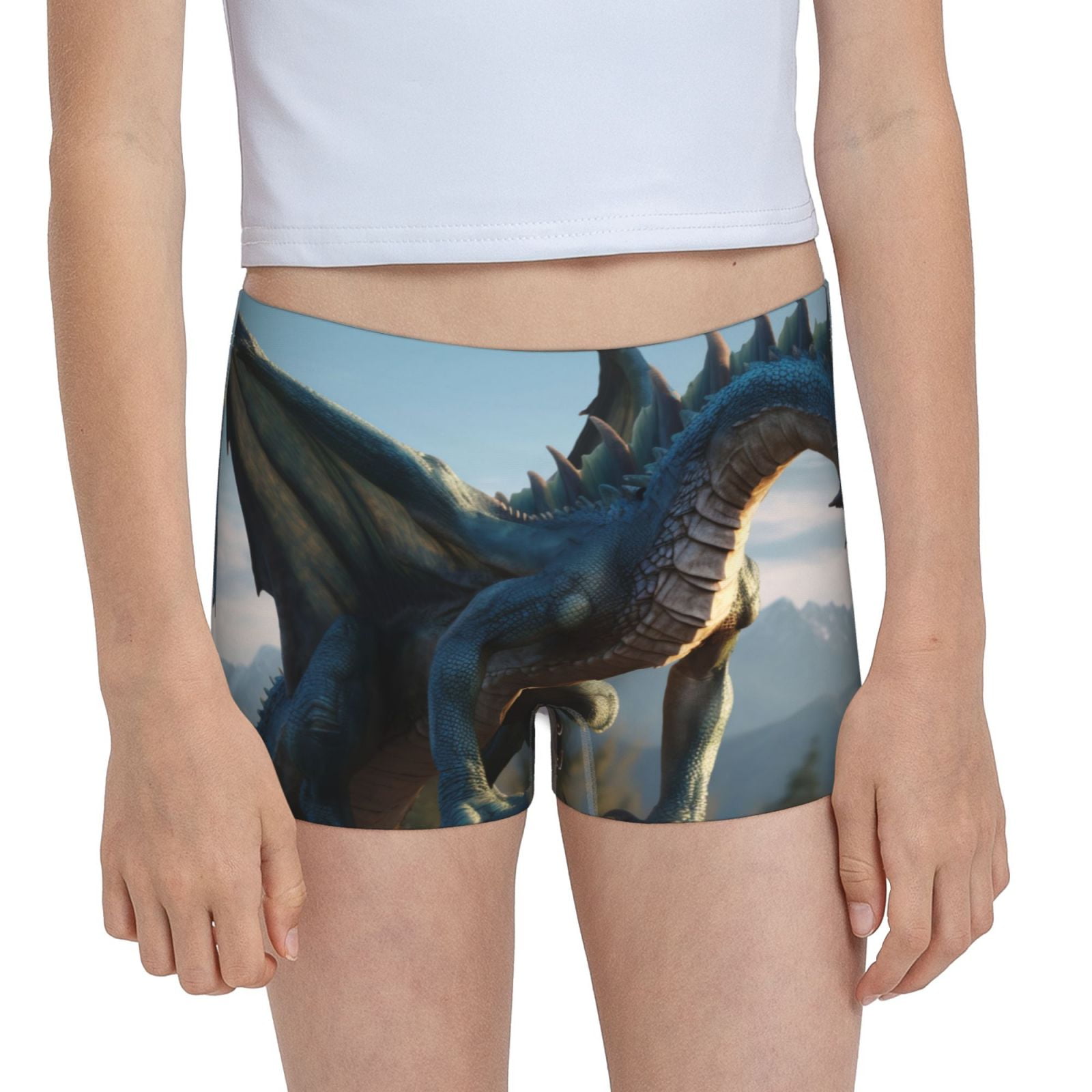 Easygdp Wild Blue Cool Dragon Girls Hipster Cotton Underwear Little