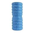 thumbnail image 1 of Fitness Mad Foam Roller, 1 of 4