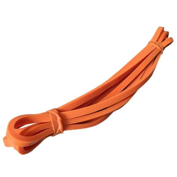 Fitness & Yoga Resistance Physio Loop Bands for Home Workout and Stretching Performance