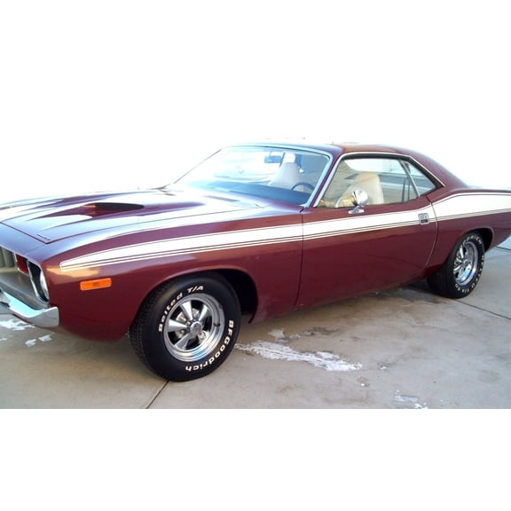 Fits 1973 1974 Plymouth Barracuda Side Body Stripes Kit 73 74 Gloss Black