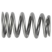 Fits/For Ford Performance Parts M 6513 1219X Pac 1219X Valve Spring