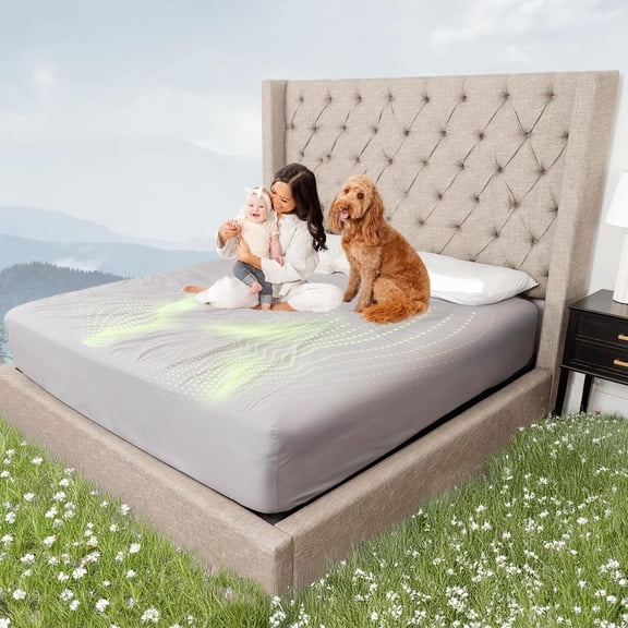 Fitted Grounding Sheets for Earthing 10% Pure Silver Fiber 90% Organic Cotton Deep Pockets - Soft Grounded Conductive Earth Sheets for Better Sleep & Wellness with Cord (Gray, Queen)