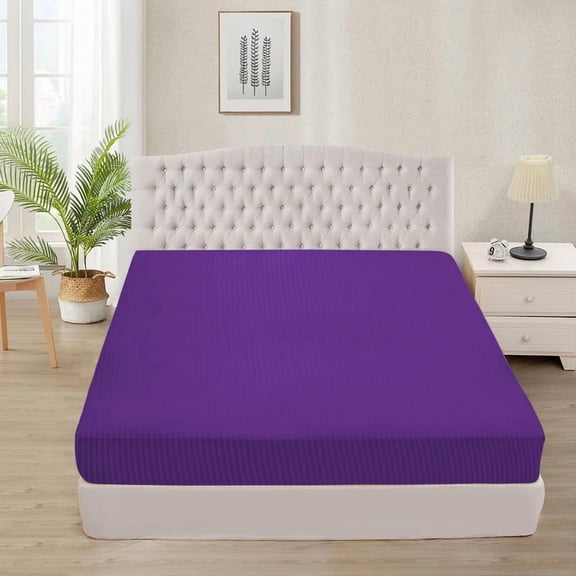 Fitted Sheet 800 Thread Count 100% Egyptian Cotton 1-Piece Full Size (54" x 75") Inch 22-Inch Deep Pocket, All-Around Elastic Purple Stripe