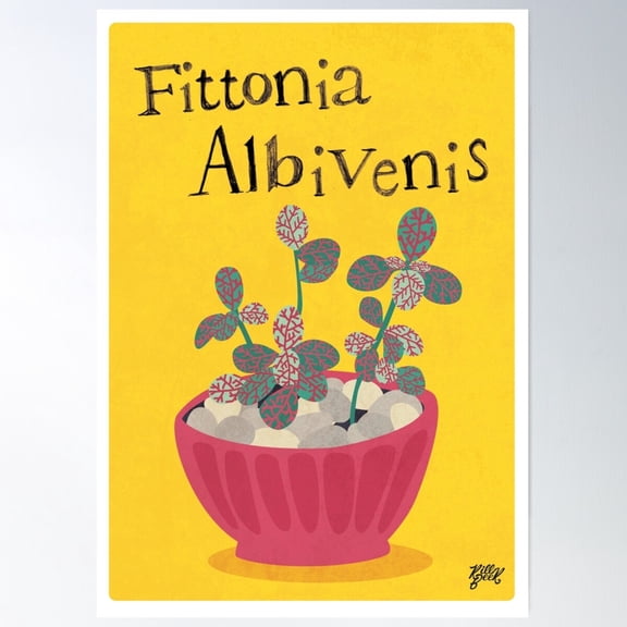 Fittonia Albivenis Poster Wall Art, Modern Wall Decor For Living Room Bedroom, 8x12 UNFRAMED