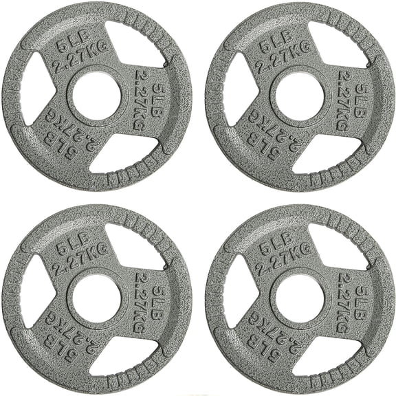 Fitvids 2" Cast Iron Grip Weight Plate, 5 lb Set of 4 Olympic Plate for Strength Training