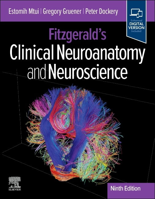 Fitzgerald's Clinical Neuroanatomy and Neuroscience, (Paperback)