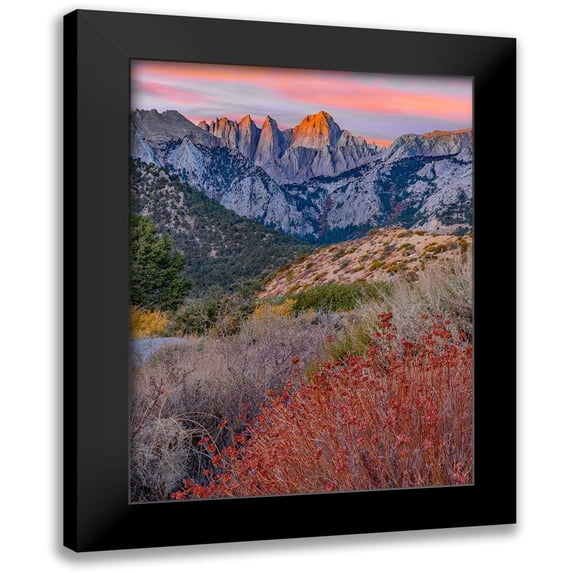Fitzharris, Tim 11x14 Black Modern Framed Museum Art Print Titled - Mount Whitney-Sequoia National Park Inyo-National Forest-California