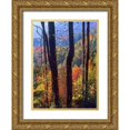 thumbnail image 1 of Fitzharris, Tim 11x14 Gold Ornate Wood Framed with Double Matting Museum Art Print Titled - Blue Ridge Parkway near Deep Gap-North Carolina, 1 of 4