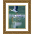 thumbnail image 1 of Fitzharris, Tim 11x14 Gold Ornate Wood Framed with Double Matting Museum Art Print Titled - Yellow-billed Stork Feeding-Kenya, 1 of 4