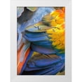thumbnail image 1 of Fitzharris, Tim 11x14 White Modern Wood Framed Museum Art Print Titled - Scarlet Macaw Feathers, 1 of 4
