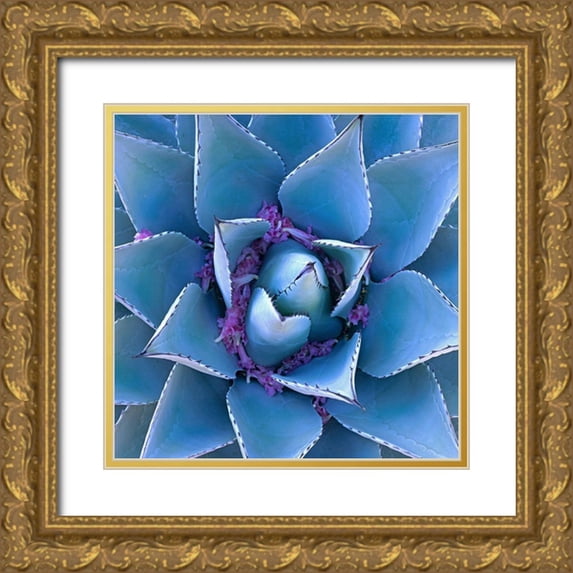 Fitzharris, Tim 12x12 Gold Ornate Wood Framed with Double Matting Museum Art Print Titled - Century Plant and Desert Willow Blooms