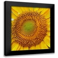 thumbnail image 1 of Fitzharris, Tim 12x13 Black Modern Framed Museum Art Print Titled - Sunflowers, 1 of 5