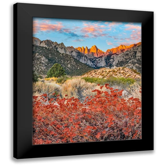 Fitzharris, Tim 12x14 Black Modern Framed Museum Art Print Titled - Mount Whitney-Sequoia National Park Inyo-National Forest-California
