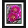 thumbnail image 1 of Fitzharris, Tim 12x14 Black Ornate Wood Framed with Double Matting Museum Art Print Titled - Grizzly Bear Cactus in Bloom, 1 of 4