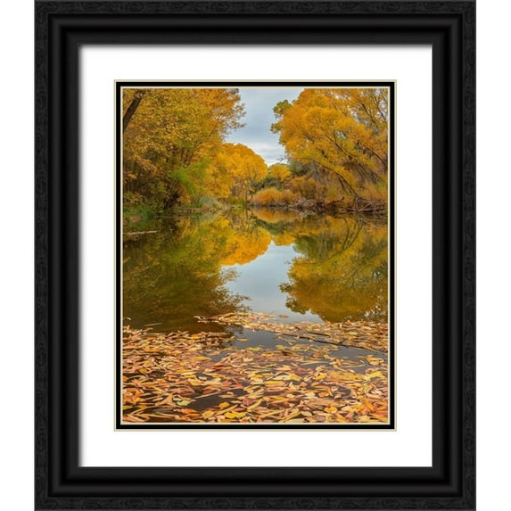 Fitzharris, Tim 12x14 Black Ornate Wood Framed with Double Matting Museum Art Print Titled - Verde River near Camp Verde-Arizona-USA