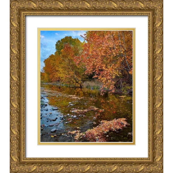 Fitzharris, Tim 12x14 Gold Ornate Wood Framed with Double Matting Museum Art Print Titled - East Verde River-Arizona-USA