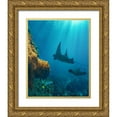 thumbnail image 1 of Fitzharris, Tim 12x14 Gold Ornate Wood Framed with Double Matting Museum Art Print Titled - Reef manta rays and moon wrasse-Penida Island-Indonesia, 1 of 4