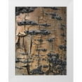 thumbnail image 1 of Fitzharris, Tim 12x14 White Modern Wood Framed Museum Art Print Titled - Aspen Bark II, 1 of 4