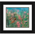 thumbnail image 1 of Fitzharris, Tim 13x12 Black Ornate Wood Framed with Double Matting Museum Art Print Titled - Rufous Hummingbird and Broad Tailed Hummingbird, 1 of 4