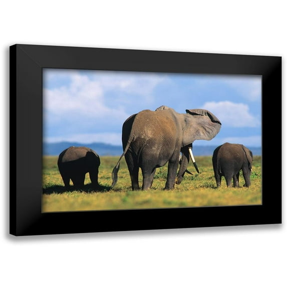 Fitzharris, Tim 14x11 Black Modern Framed Museum Art Print Titled - African elephants-Amboseli National Park-Kenya