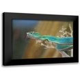 thumbnail image 1 of Fitzharris, Tim 14x11 Black Modern Framed Museum Art Print Titled - Side-striped palm pit viper snake, 1 of 5