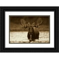 thumbnail image 1 of Fitzharris, Tim 14x11 Black Ornate Wood Framed with Double Matting Museum Art Print Titled - Moose male raising its head while feeding on the bottom of a lake, North America, 1 of 4