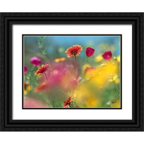 Fitzharris, Tim 14x11 Black Ornate Wood Framed with Double Matting Museum Art Print Titled - Indian Blanket and Wine-cups