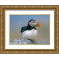 thumbnail image 1 of Fitzharris, Tim 14x11 Gold Ornate Wood Framed with Double Matting Museum Art Print Titled - Atlantic Puffin III, 1 of 4