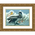 thumbnail image 1 of Fitzharris, Tim 14x11 Gold Ornate Wood Framed with Double Matting Museum Art Print Titled - Brown Pelican with White Pelicans, 1 of 4