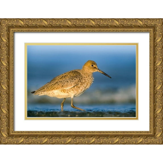 Fitzharris, Tim 14x11 Gold Ornate Wood Framed with Double Matting Museum Art Print Titled - Willet