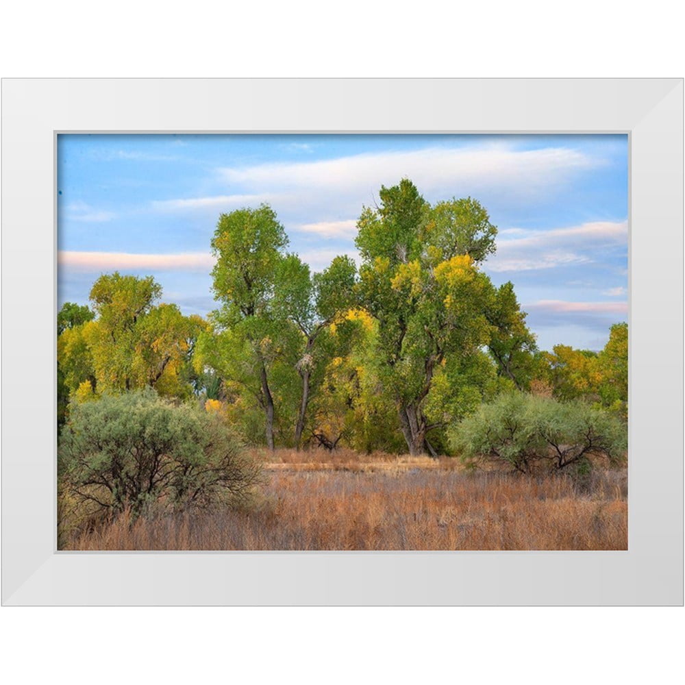 Riverine Ranch Fitzharris, Tim 14x11 White Modern Wood Framed Museum Art Print Titled ...