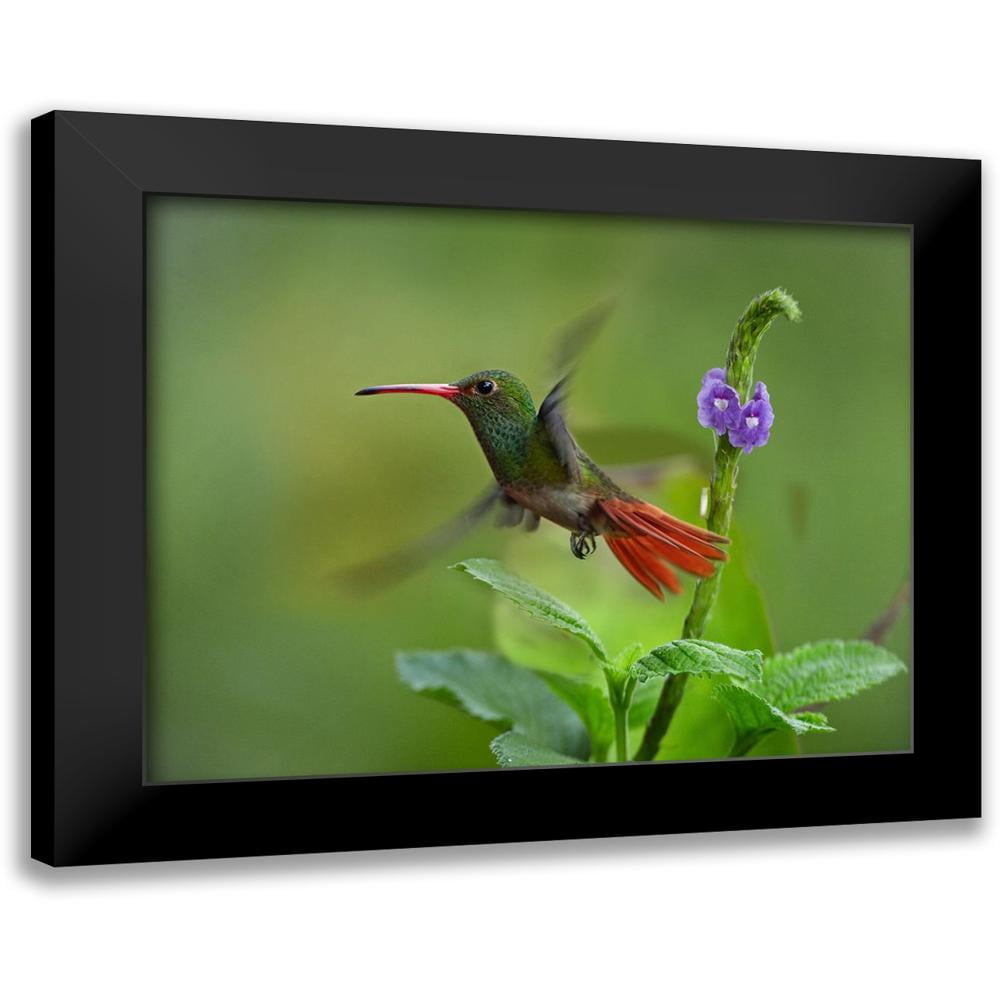 Fitzharris, Tim 14x12 Black Modern Framed Museum Art Print Titled ...