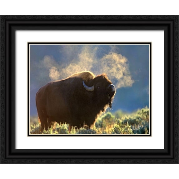 Fitzharris, Tim 14x12 Black Ornate Wood Framed with Double Matting Museum Art Print Titled - Bison