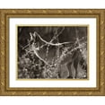 thumbnail image 1 of Fitzharris, Tim 14x12 Gold Ornate Wood Framed with Double Matting Museum Art Print Titled - Coyote Hunting Sepia, 1 of 4