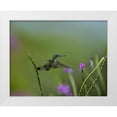 thumbnail image 1 of Fitzharris, Tim 14x12 White Modern Wood Framed Museum Art Print Titled - Andean Emerald Humming Bird, 1 of 4