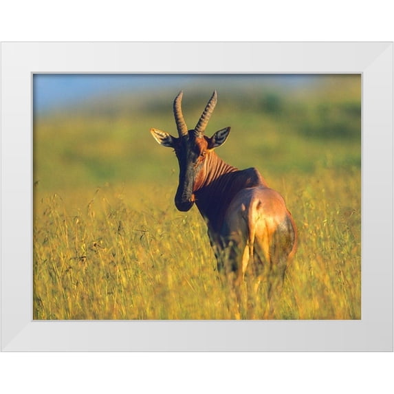 Fitzharris, Tim 14x12 White Modern Wood Framed Museum Art Print Titled - Topi