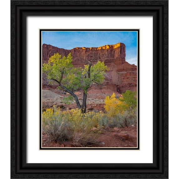Fitzharris, Tim 15x17 Black Ornate Wood Framed with Double Matting Museum Art Print Titled - Porcupine Canyon on Colorado River near Castle Valley-Utah