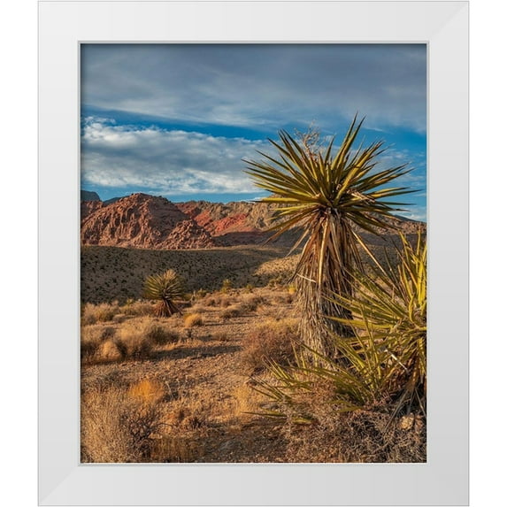 Fitzharris, Tim 15x17 White Modern Wood Framed Museum Art Print Titled - Red Rock Canyon National Conservation Area near Las Vegas-Nevada