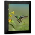 thumbnail image 1 of Fitzharris, Tim 15x18 Black Modern Framed Museum Art Print Titled - Andean Emerald hummingbird feeding on a yellow flower, Ecuador, 1 of 5