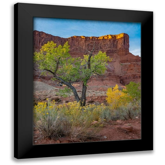 Fitzharris, Tim 15x18 Black Modern Framed Museum Art Print Titled - Porcupine Canyon on Colorado River near Castle Valley-Utah