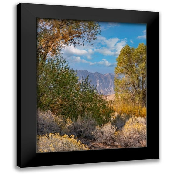 Fitzharris, Tim 15x18 Black Modern Framed Museum Art Print Titled - Sierra Nevada-Owens Valley-California-USA